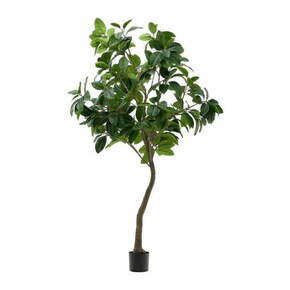 Umjetni fikus (visina 210 cm) Ficus – Kave Home