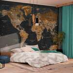 Samoljepljiva foto tapeta - World: Stylish Map 245x175
