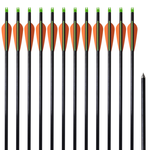 vidaXL Standardne strijele za sklopive lukove od fiberglasa 30'', 0,8 cm