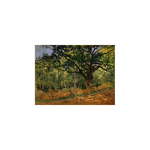 Reprodukcija slike Claude Monet - The Bodmer Oak, Fontainebleau Forest, 70 x 50 cm
