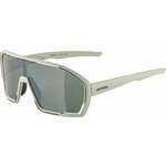 Alpina Bonfire Q-Lite Cool/Grey Matt/Silver Biciklističke naočale