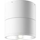 MAYTONI O310CL-L12W3K | Spin-MAY Maytoni stropne svjetiljke svjetiljka 3000K bijelo
