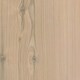 LOGOCLIC Uzorak laminata Family Pinie Parma (296 x 195 x 1 mm)