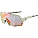 Alpina Rocket QV Cool/Grey Matt/Rainbow Biciklističke naočale