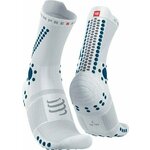 Compressport Pro Racing Socks v4.0 Trail White/Fjord Blue T4