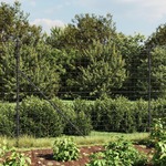 vidaXL Ograda od žičane mreže sa šiljastim držačima antracit 2,2x10 m