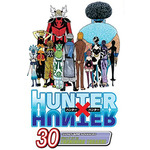 Hunter x Hunter vol. 30