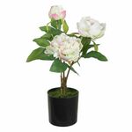 Decorative Plant 24 x 20 x 38 cm Cream Peony