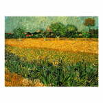 Reprodukcija slike Vincenta Van Gogha - View of arles with irises in the foreground, 40 x 30 cm