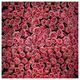 Click Props Background Vinyl with Print Roses Distressed Pink 1.52x2.44m studijska foto pozadina s grafikom