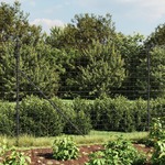 vidaXL Ograda od žičane mreže sa šiljastim držačima antracit 1,6x25 m