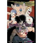 Black Clover vol. 11