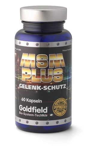 Goldfield MSM Plus 60 kaps unflavored