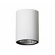 NOVA LUCE 9200612 | Ceci Nova Luce stropne svjetiljke svjetiljka cilindar 1x LED 520lm 3000K IP65 bijelo mat