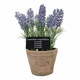 Umjetna biljka (visina 17,5 cm) Lavender – Esschert Design
