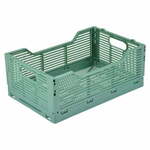 Svijetlo zelena plastična kutija za pohranu 30x20x11.5 cm – Homéa