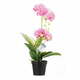Umjetna biljka (visina 55 cm) Orchid – AmeliaHome