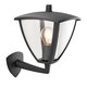 ENDON 70695 | Seraph Endon zidna svjetiljka 1x E27 IP44 sivo, prozirno