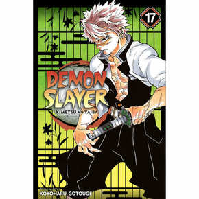 Demon Slayer vol. 17
