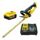 Dewalt DCM563P1