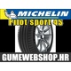 Michelin ljetna guma Pilot Sport 4, XL 245/35R19 93Y