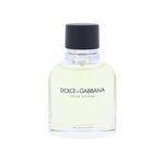 Dolce&amp;GaBBana Pour Homme toaletna voda 75 ml za muškarce