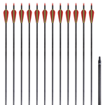vidaXL Standardne savijene strijele za luk, 30'', ugljične, 12 komada