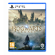 Hogwarts Legacy PS5 Preorder