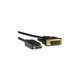 Roline DisplayPort kabel, DP - DVI-D (24+1), M/M, 2.0m, crni 11.04.5610-10