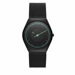 Sat Skagen SKW6874 Black