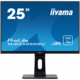 Iiyama ProLite XUB2595WSU-B1 monitor, Display port