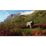 Way Of The Hunter - Wild Expeditions (Playstation 5)