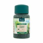 Kneipp Mineral Bath Salt Mindful Forest solna kupka Pine &amp; Fir 500 g