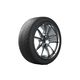 Michelin zimska guma 275/40R21 Pilot Alpin 107V