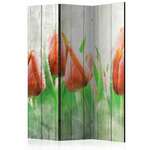 Paravan u 3 dijela - Red tulips on wood [Room Dividers] 135x172