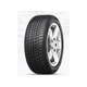 Viking zimska guma 215/50R17 WinTech, XL M + S 95V