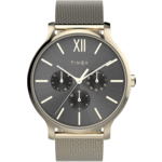 Sat Timex Transcend TW2W20000 Gold/Grey