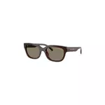 Armani Exchange Sunčane naočale 0AX4155SU 837373 Smeđa