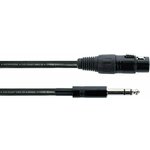 Cordial EM 1 FV 1 m Audio kabel