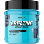EVOLITE CREATINE 500 g - Borovnica