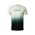 HOLLISTER Majica mornarsko plava / smaragdno zelena / pastelno zelena