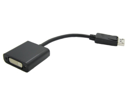 Roline VALUE adapter/kabel DisplayPort - DVI