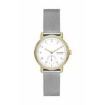 Sat Skagen Kuppel Lille SKW3101 Silver