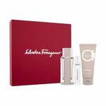 Salvatore Ferragamo Ferragamo Bright Leather toaletna voda 100 ml za muškarce