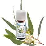 Eterično ulje Venta Bio, za ovlaživače zraka, eukaliptus, 3x10ml