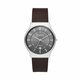 Sat Skagen Malbye Gent SKW6909 Silver/Brown