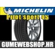 Michelin ljetna guma Pilot Sport 4, XL 285/30R20 99Y