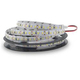 EcoVision LED traka 5m, 2835, 120LED/m, 14.4W/m, 24V DC, 3000K, IP20