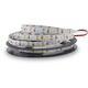 EcoVision LED traka 5m, 2835, 120LED/m, 14.4W/m, 12V DC, 3000K, IP20