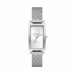 Sat Skagen Hagen SKW3115 Silver/Silver